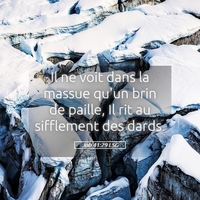 Picture 05 - Job 41:29 LSG - Il ne voit dans la massue qu'un brin de paille, - Bible Verse Picture