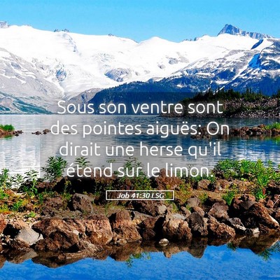 Picture 05 - Job 41:30 LSG - Sous son ventre sont des pointes aiguës: On - Bible Verse Picture