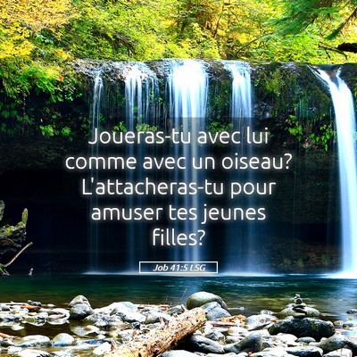 Picture 05 - Job 41:5 LSG - Joueras-tu avec lui comme avec un oiseau? - Bible Verse Picture
