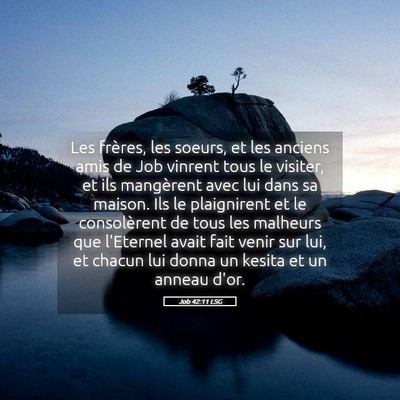Picture 05 - Job 42:11 LSG - Les frères, les soeurs, et les anciens amis de - Bible Verse Picture