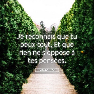 Picture 05 - Job 42:2 LSG - Je reconnais que tu peux tout, Et que rien ne - Bible Verse Picture