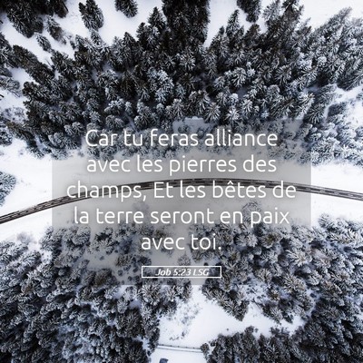 Picture 05 - Job 5:23 LSG - Car tu feras alliance avec les pierres des - Bible Verse Picture