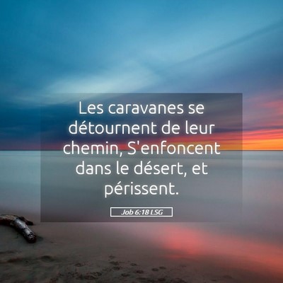 Picture 05 - Job 6:18 LSG - Les caravanes se détournent de leur chemin, - Bible Verse Picture