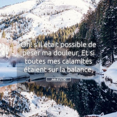 Picture 05 - Job 6:2 LSG - Oh! s'il était possible de peser ma douleur, Et - Bible Verse Picture