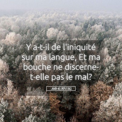 Picture 05 - Job 6:30 LSG - Y a-t-il de l'iniquité sur ma langue, Et ma - Bible Verse Picture