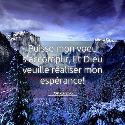 Picture 05 - Job 6:8 LSG - Puisse mon voeu s'accomplir, Et Dieu veuille - Bible Verse Picture