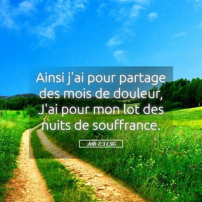 Picture 05 - Job 7:3 LSG - Ainsi j'ai pour partage des mois de douleur, J'ai - Bible Verse Picture