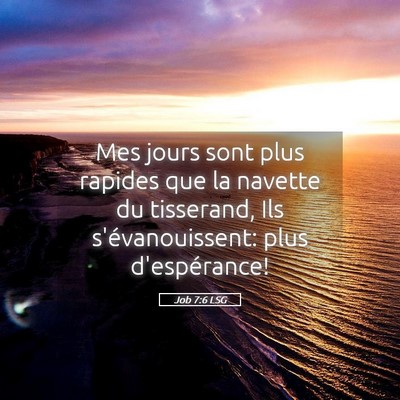 Picture 05 - Job 7:6 LSG - Mes jours sont plus rapides que la navette du - Bible Verse Picture