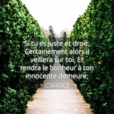 Picture 05 - Job 8:6 LSG - Si tu es juste et droit, Certainement alors il - Bible Verse Picture