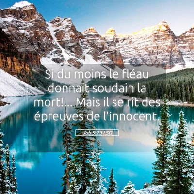 Picture 05 - Job 9:23 LSG - Si du moins le fléau donnait soudain la mort!... - Bible Verse Picture