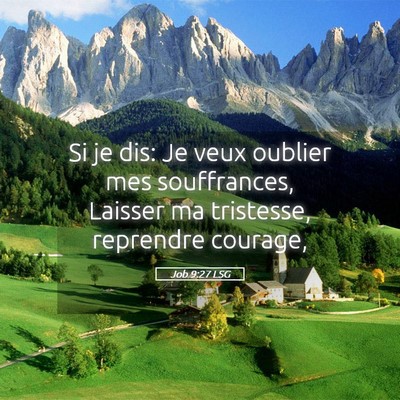 Picture 05 - Job 9:27 LSG - Si je dis: Je veux oublier mes souffrances, - Bible Verse Picture
