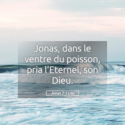 Picture 05 - Jonas 2:1 LSG - Jonas, dans le ventre du poisson, pria l'Eternel, - Bible Verse Picture