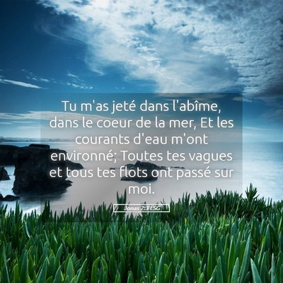 Picture 05 - Jonas 2:3 LSG - Tu m'as jeté dans l'abîme, dans le coeur de la - Bible Verse Picture