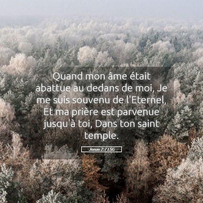 Picture 05 - Jonas 2:7 LSG - Quand mon âme était abattue au dedans de moi, - Bible Verse Picture