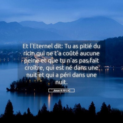 Picture 05 - Jonas 4:10 LSG - Et l'Eternel dit: Tu as pitié du ricin qui ne - Bible Verse Picture