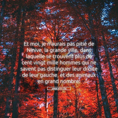 Picture 05 - Jonas 4:11 LSG - Et moi, je n'aurais pas pitié de Ninive, la - Bible Verse Picture