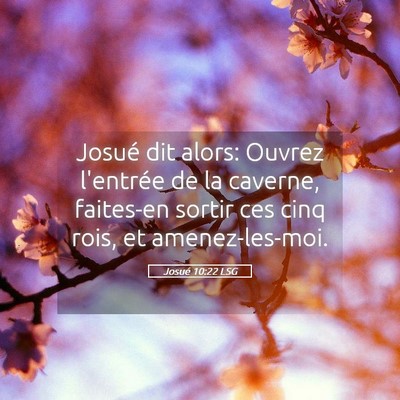 Picture 05 - Josué 10:22 LSG - Josué dit alors: Ouvrez l'entrée de la caverne, - Bible Verse Picture