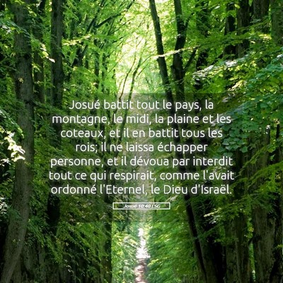 Picture 05 - Josué 10:40 LSG - Josué battit tout le pays, la montagne, le midi, - Bible Verse Picture