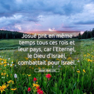 Picture 05 - Josué 10:42 LSG - Josué prit en même temps tous ces rois et leur - Bible Verse Picture