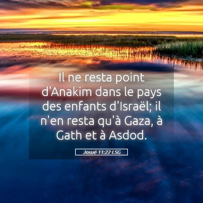Picture 05 - Josué 11:22 LSG - Il ne resta point d'Anakim dans le pays des - Bible Verse Picture