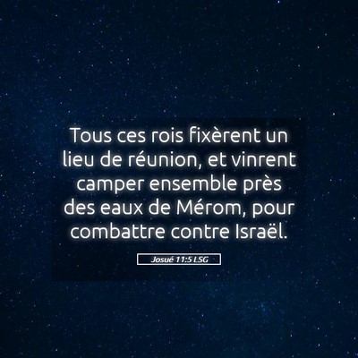 Picture 05 - Josué 11:5 LSG - Tous ces rois fixèrent un lieu de réunion, et - Bible Verse Picture