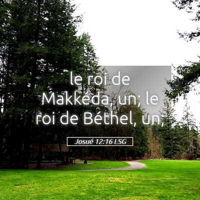 Picture 05 - Josué 12:16 LSG - le roi de Makkéda, un; le roi de Béthel, - Bible Verse Picture