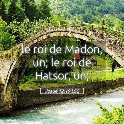 Picture 05 - Josué 12:19 LSG - le roi de Madon, un; le roi de Hatsor, - Bible Verse Picture