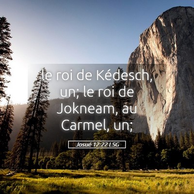 Picture 05 - Josué 12:22 LSG - le roi de Kédesch, un; le roi de Jokneam, au - Bible Verse Picture