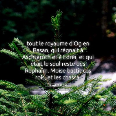 Picture 05 - Josué 13:12 LSG - tout le royaume d'Og en Basan, qui régnait à - Bible Verse Picture