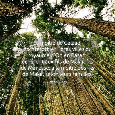 Picture 05 - Josué 13:31 LSG - La moitié de Galaad, Aschtaroth et Edréï, - Bible Verse Picture