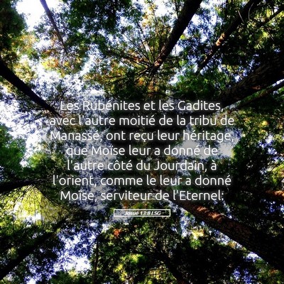 Picture 05 - Josué 13:8 LSG - Les Rubénites et les Gadites, avec l'autre - Bible Verse Picture