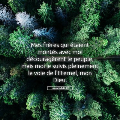 Picture 05 - Josué 14:8 LSG - Mes frères qui étaient montés avec moi - Bible Verse Picture