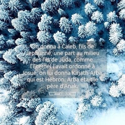 Picture 05 - Josué 15:13 LSG - On donna à Caleb, fils de Jephunné, une part au - Bible Verse Picture