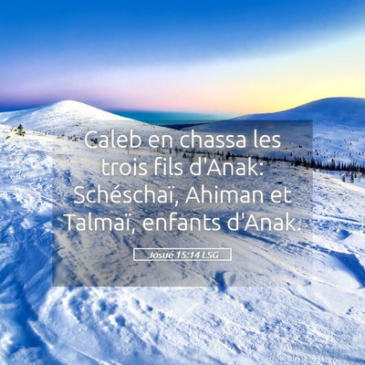 Picture 05 - Josué 15:14 LSG - Caleb en chassa les trois fils d'Anak: - Bible Verse Picture