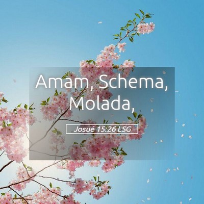 Picture 05 - Josué 15:26 LSG - Amam, Schema, - Bible Verse Picture