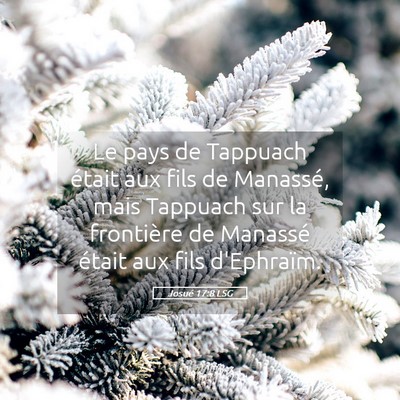 Picture 05 - Josué 17:8 LSG - Le pays de Tappuach était aux fils de Manassé, - Bible Verse Picture