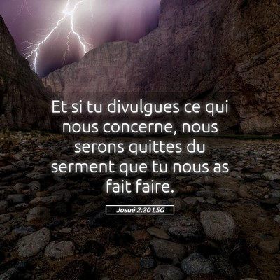 Picture 05 - Josué 2:20 LSG - Et si tu divulgues ce qui nous concerne, nous - Bible Verse Picture