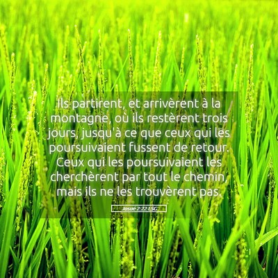 Picture 05 - Josué 2:22 LSG - Ils partirent, et arrivèrent à la montagne, où - Bible Verse Picture
