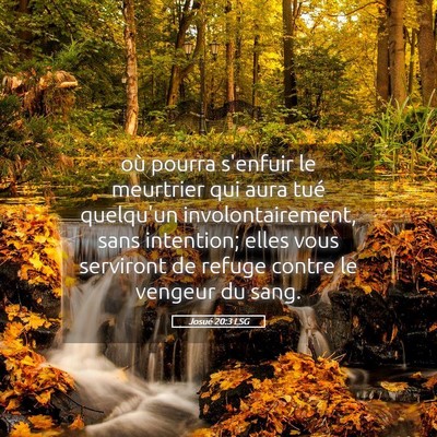 Picture 05 - Josué 20:3 LSG - où pourra s'enfuir le meurtrier qui aura tué - Bible Verse Picture