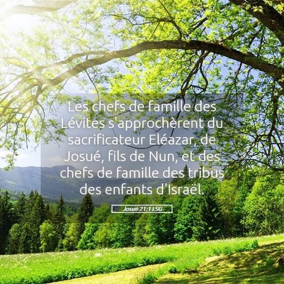 Picture 05 - Josué 21:1 LSG - Les chefs de famille des Lévites s'approchèrent - Bible Verse Picture