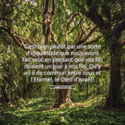 Picture 05 - Josué 22:24 LSG - C'est bien plutôt par une sorte d'inquiétude - Bible Verse Picture