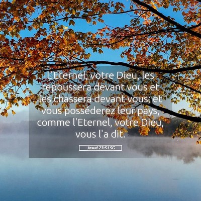Picture 05 - Josué 23:5 LSG - L'Eternel, votre Dieu, les repoussera devant vous - Bible Verse Picture