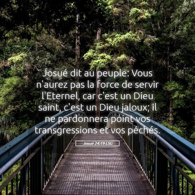 Picture 05 - Josué 24:19 LSG - Josué dit au peuple: Vous n'aurez pas la force - Bible Verse Picture