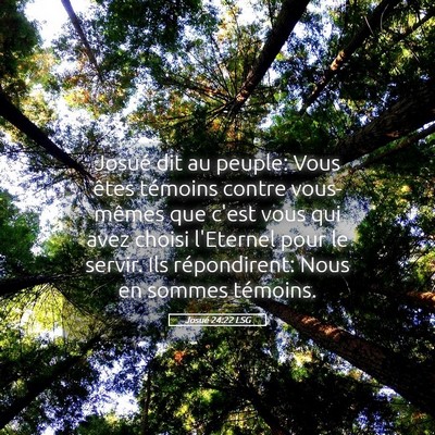 Picture 05 - Josué 24:22 LSG - Josué dit au peuple: Vous êtes témoins contre - Bible Verse Picture