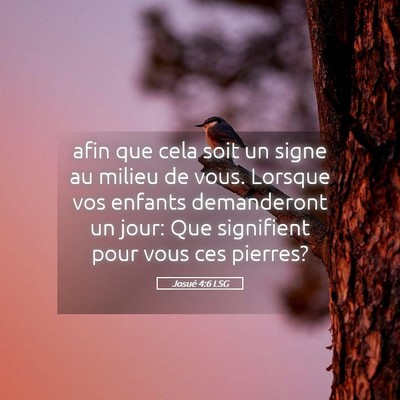 Picture 05 - Josué 4:6 LSG - afin que cela soit un signe au milieu de vous. - Bible Verse Picture