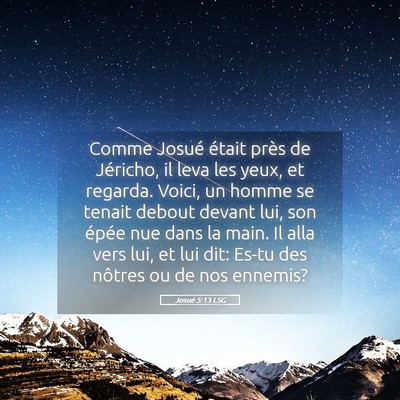 Picture 05 - Josué 5:13 LSG - Comme Josué était près de Jéricho, il leva - Bible Verse Picture