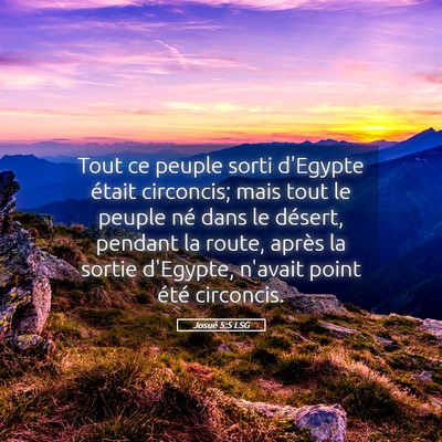 Picture 05 - Josué 5:5 LSG - Tout ce peuple sorti d'Egypte était circoncis; - Bible Verse Picture