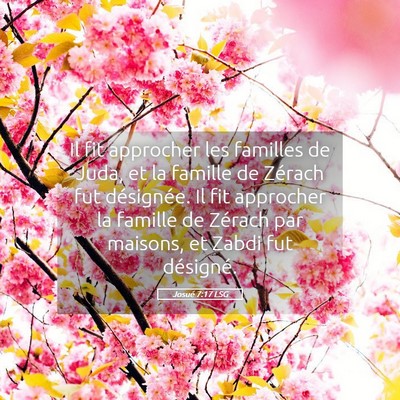 Picture 05 - Josué 7:17 LSG - Il fit approcher les familles de Juda, et la - Bible Verse Picture
