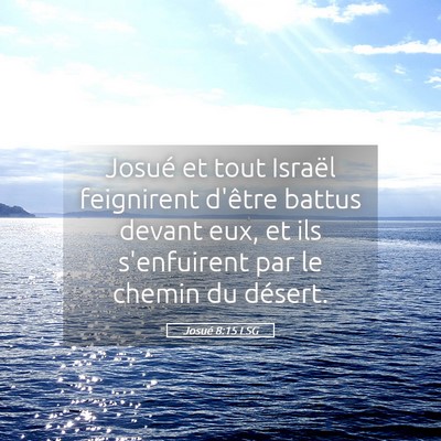 Picture 05 - Josué 8:15 LSG - Josué et tout Israël feignirent d'être battus - Bible Verse Picture