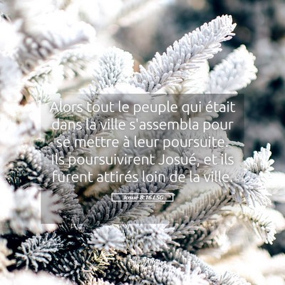 Picture 05 - Josué 8:16 LSG - Alors tout le peuple qui était dans la ville - Bible Verse Picture